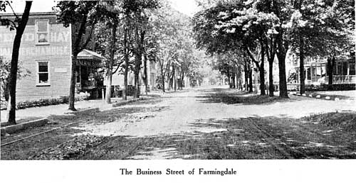The Business Street of Farmingdale
